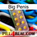 Big Penis new11